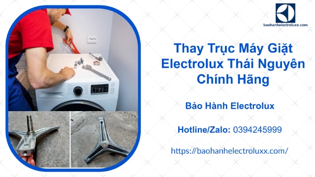 Thay trục máy giặt Electrolux Thái Nguyên